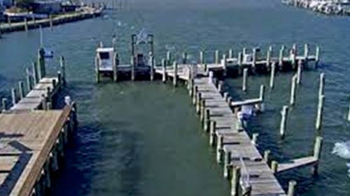 Bahia Marina OCMD