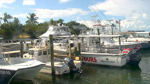 Robbie's of Islamorada