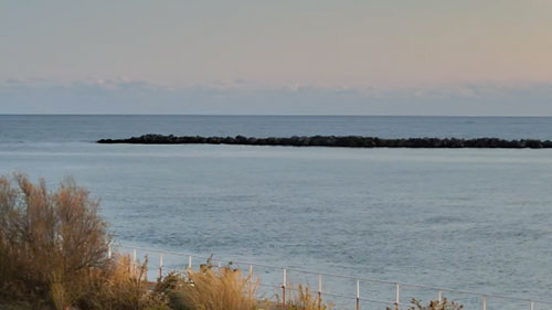 Harrison’s Harbor Watch