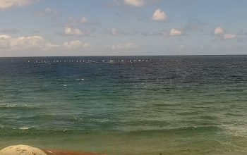 A scenic view of Redondo Beach in Southern California, featuring the sandy shoreline, gentle ocean waves, and a bright blue sky, capturing the laid-back coastal atmosphere.