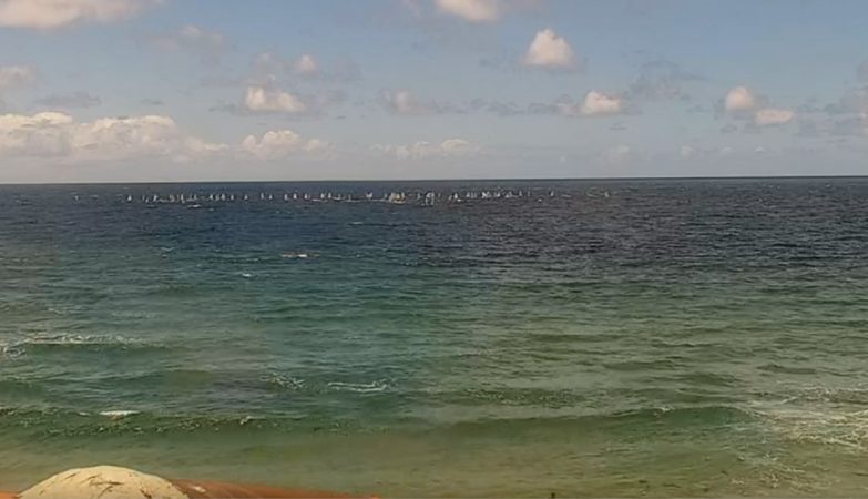 A scenic view of Redondo Beach in Southern California, featuring the sandy shoreline, gentle ocean waves, and a bright blue sky, capturing the laid-back coastal atmosphere.