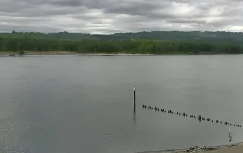Scenic view of the Columbia River at the Port of Kalama, featuring calm water, riverfront park areas.